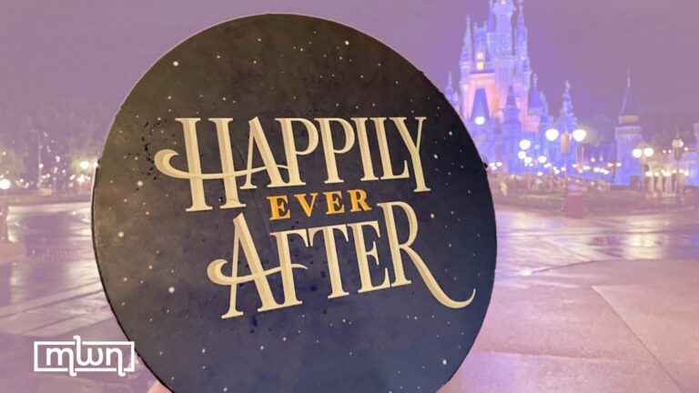 chasing-happily-ever-after-dream-or-reality