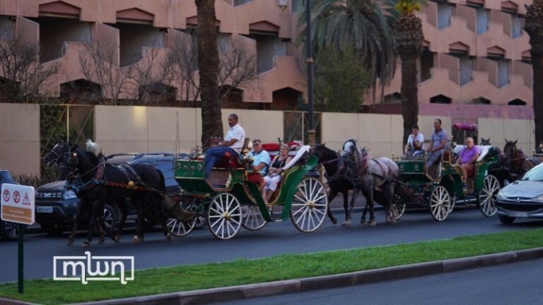 conde-nast-traveller-lists-morocco-among-top-10-googled-travel-destinations-in-2023
