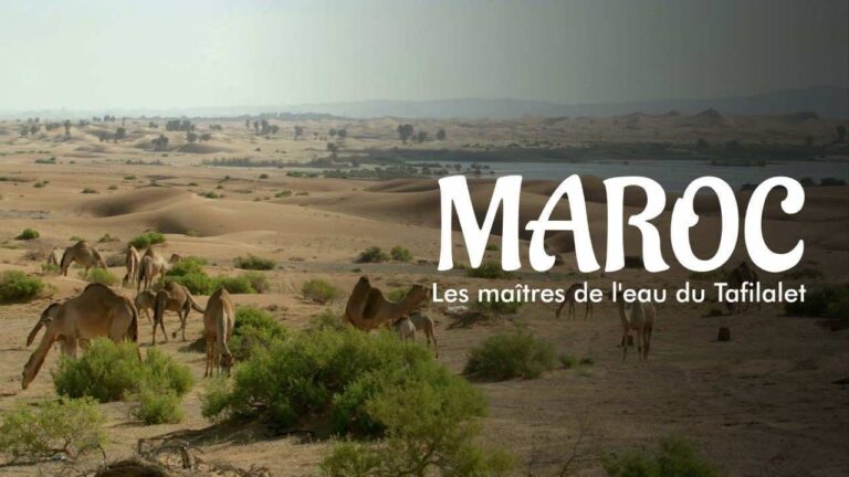 european-channel-to-broadcast-documentary-on-moroccan-oasis