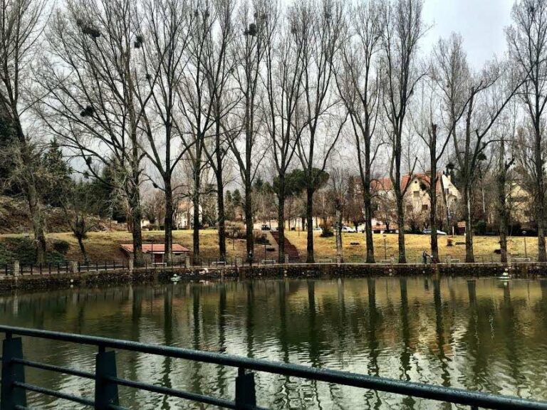 ifrane-tops-list-of-10-charming-towns-and-cities-in-africa-worth-visiting