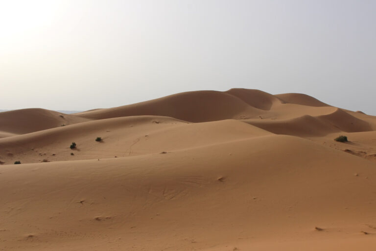 in-photos-a-trip-to-merzouga-a-unique-landscape-10-hours-from-rabat