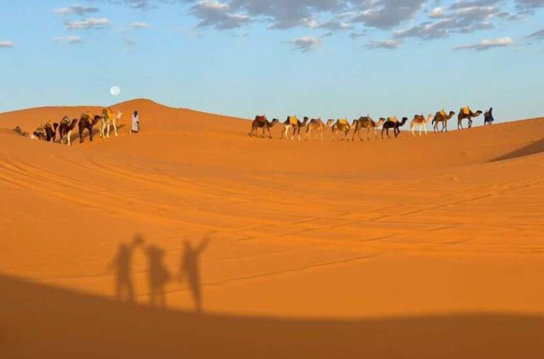 into-the-world-of-ldquo-dune-rdquo-what-to-do-on-a-sahara-desert-trip