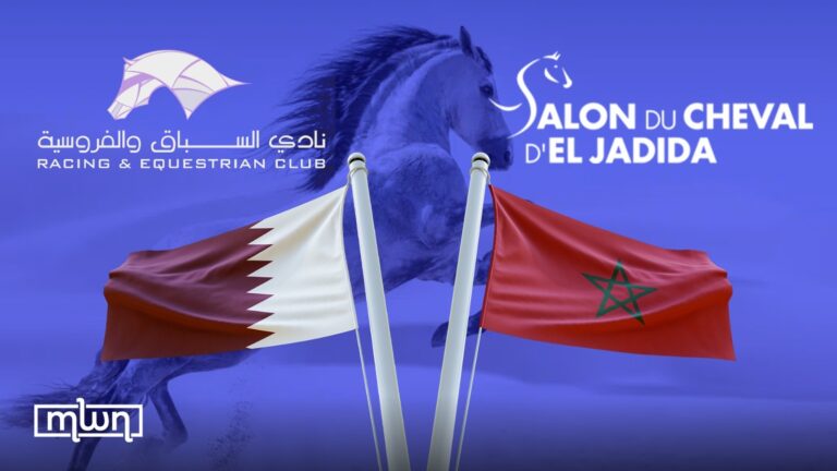 qatar-racing-and-equestrian-club-spurs-into-moroccos-salon-du-cheval-event