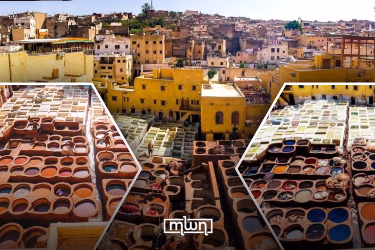 The Leather Tanneries of Fez: A Living Archive of Moroccan History