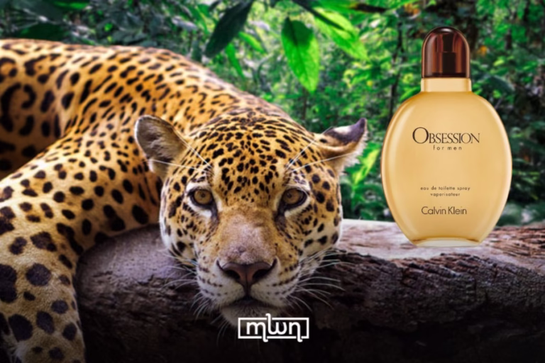Calvin Klein's 'Obsession for Men' Can Lure Big Cats From Half a Mile Away