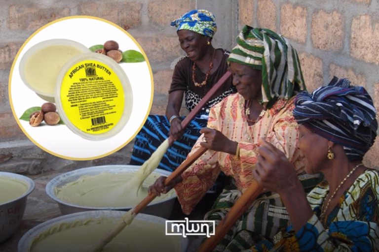 Why African Women Rely on Shea Butter