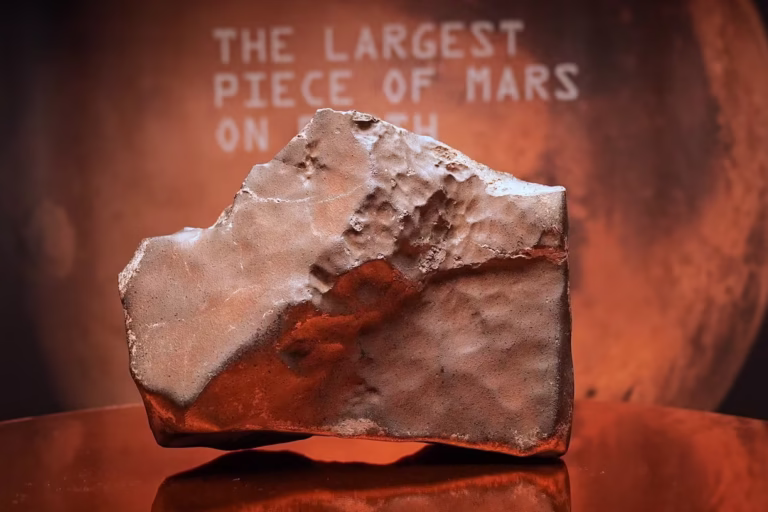 Sotheby’s to Auction the Largest Martian Rock Ever Found on Earth