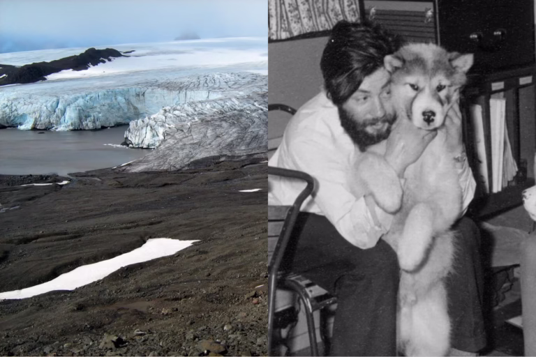 Melting Antarctic Ice Reveals Remains of Dennis Bell, a Researcher Missing for 66 Years