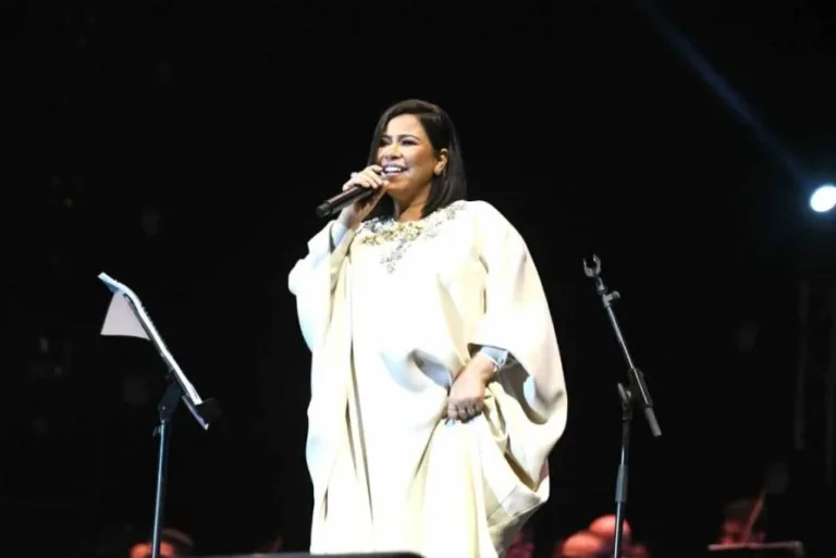 Egyptian Star Sherine Abdel Wahab Considers Stepping Away from Music