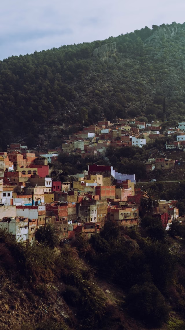 mouad-bouallayel-Zj8bVNSnhn8-unsplash