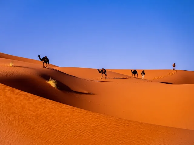 The Best Seven-Day Morocco Itinerary   
