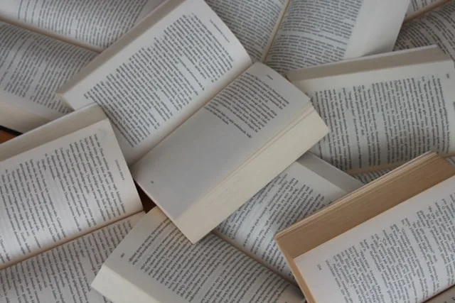 Echo of Casablanca’ Puts Literature and Creativity Center Stage at Anfa Complex