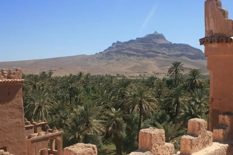 Tassabount: Zagora’s Unique, Must-Try Drink