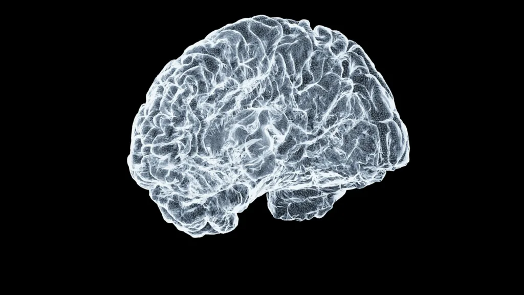 Your Brain Has Five ‘Ages’: Study Maps Hidden Turning Points Between Childhood and Late Adulthood