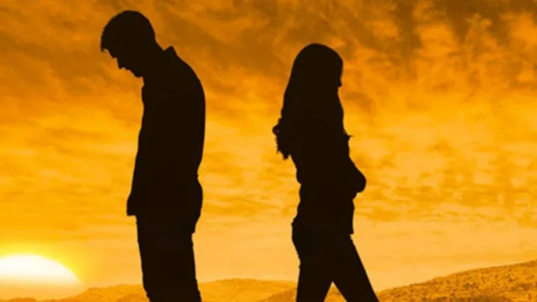  Can Science Identify the Patterns that Make a Relationship Thrive or Fail? 