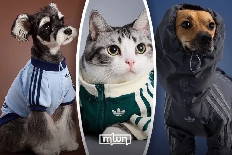 Adidas Launches Pet Collection Blending Sportswear Style and Companion Culture