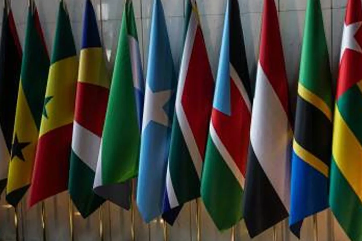 Why So Many African Flags Share the Same Colors