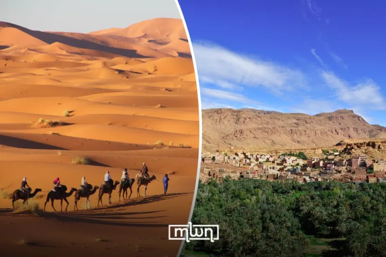 Morocco’s Sahara Region: Dunes, Oases, and Life in the Desert