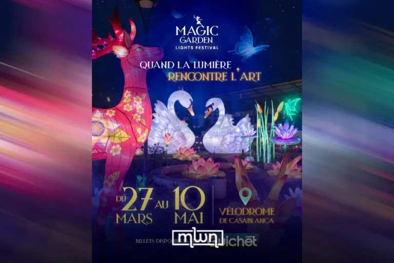 Magic Garden Light Festiva, Casablanca
