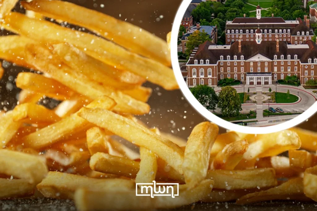 French Fries Scientific Breakthrough: Cutting Oil Without Losing Crunch
