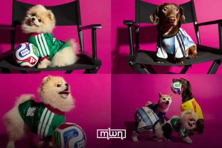 Adidas Launches Pet Jerseys For FIFA World Cup 2026