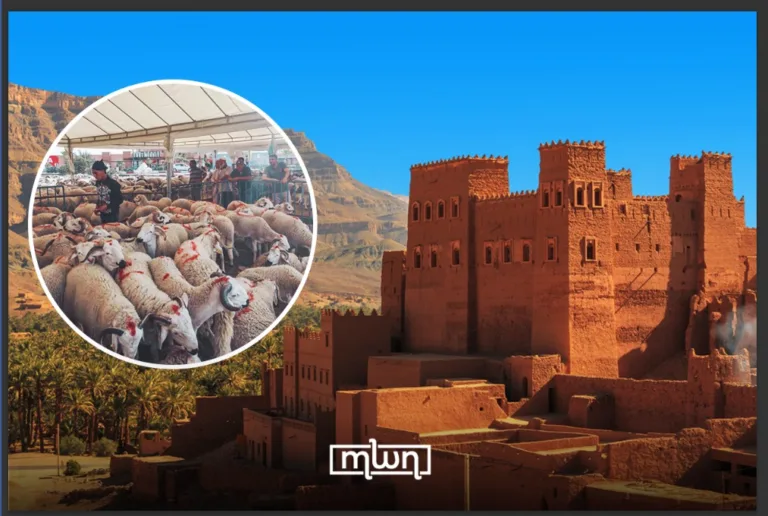 Eid Al Adha in Morocco: A Look Inside Zagora’s Local Traditions