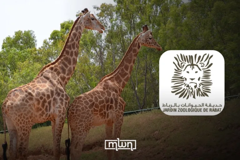 Rabat Zoo Launches Mobile App to Guide Visitors Through Wildlife Park