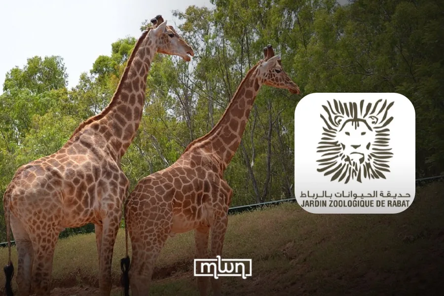 Rabat Zoo Launches Mobile App to Guide Visitors Through Wildlife Park