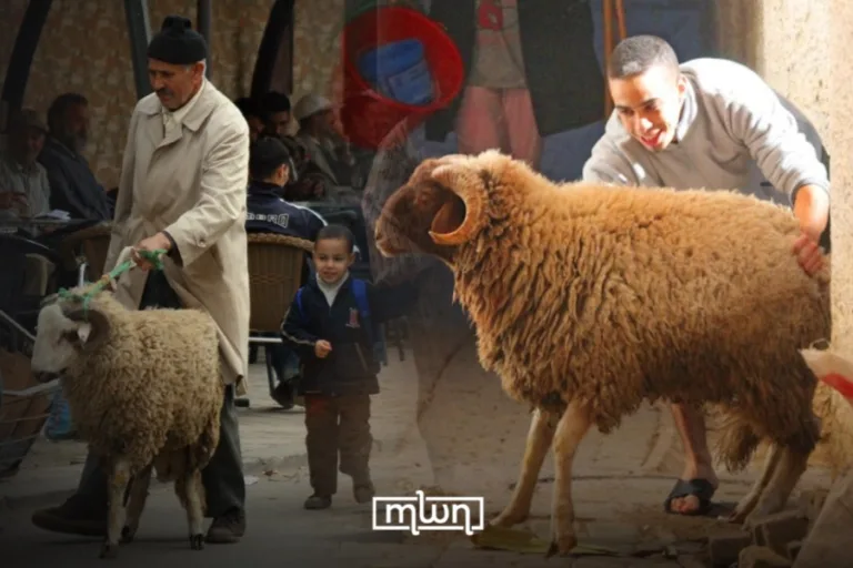 Moroccan Men Keep Eid Al-Adha Moving From Mosque to Grill
