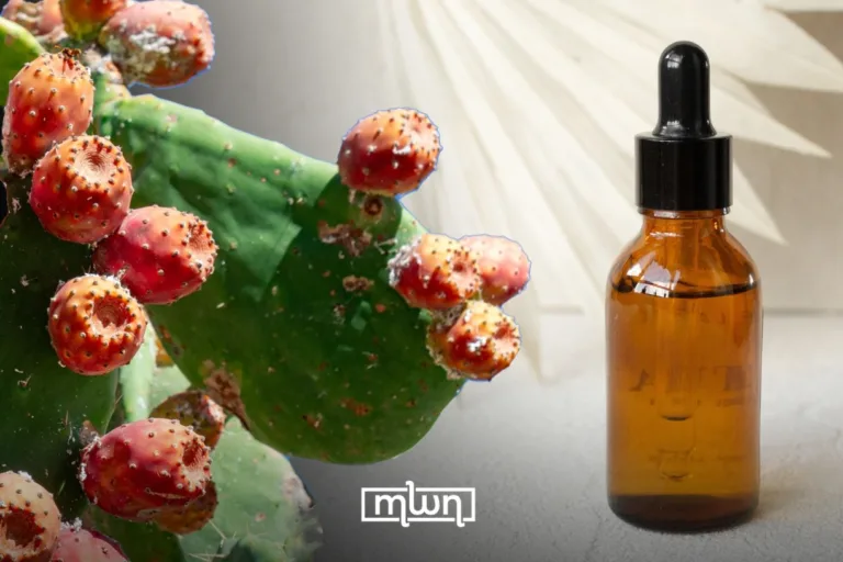 Morocco's Costliest Beauty Secret Prickly Pear Seed Oil
