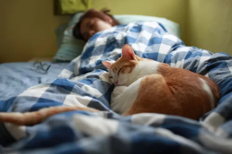 The Psychology of Cuddling With Your Pet(s) in Bed