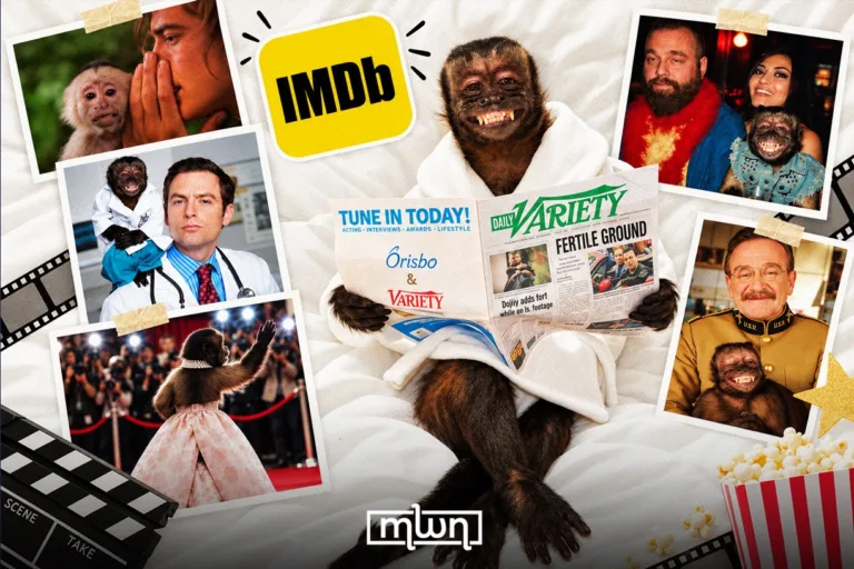Crystal, the 32-Year-Old Monkey That Outranks 76% of Performers in IMDb