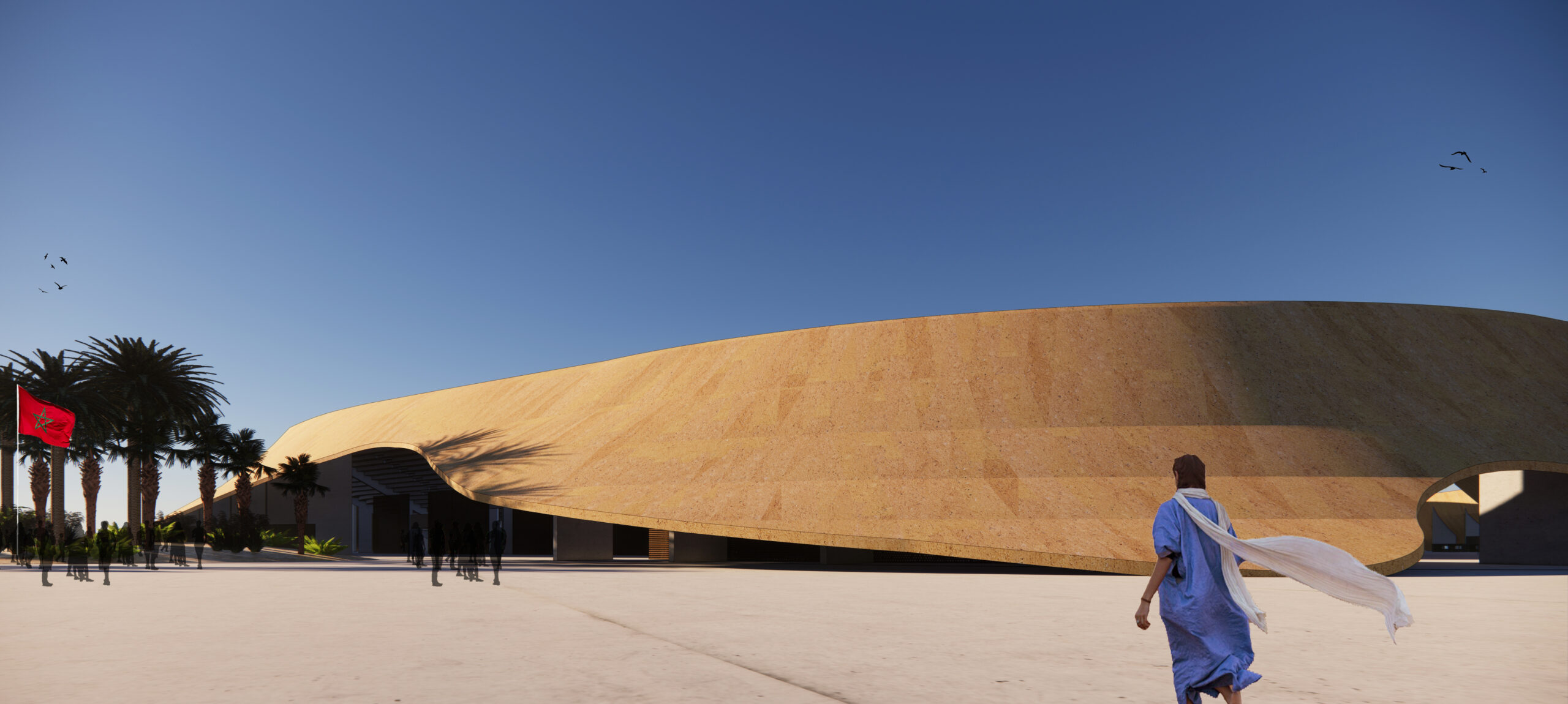 Dakhla Stadium Courtesy of Driss Kettani