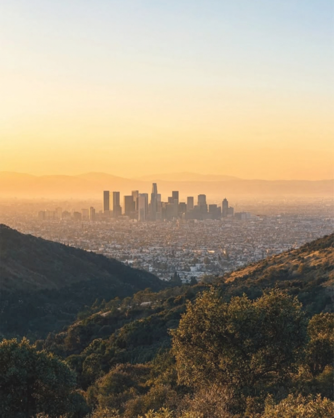 Los Angeles Courtesy of Moroccan Collective Team