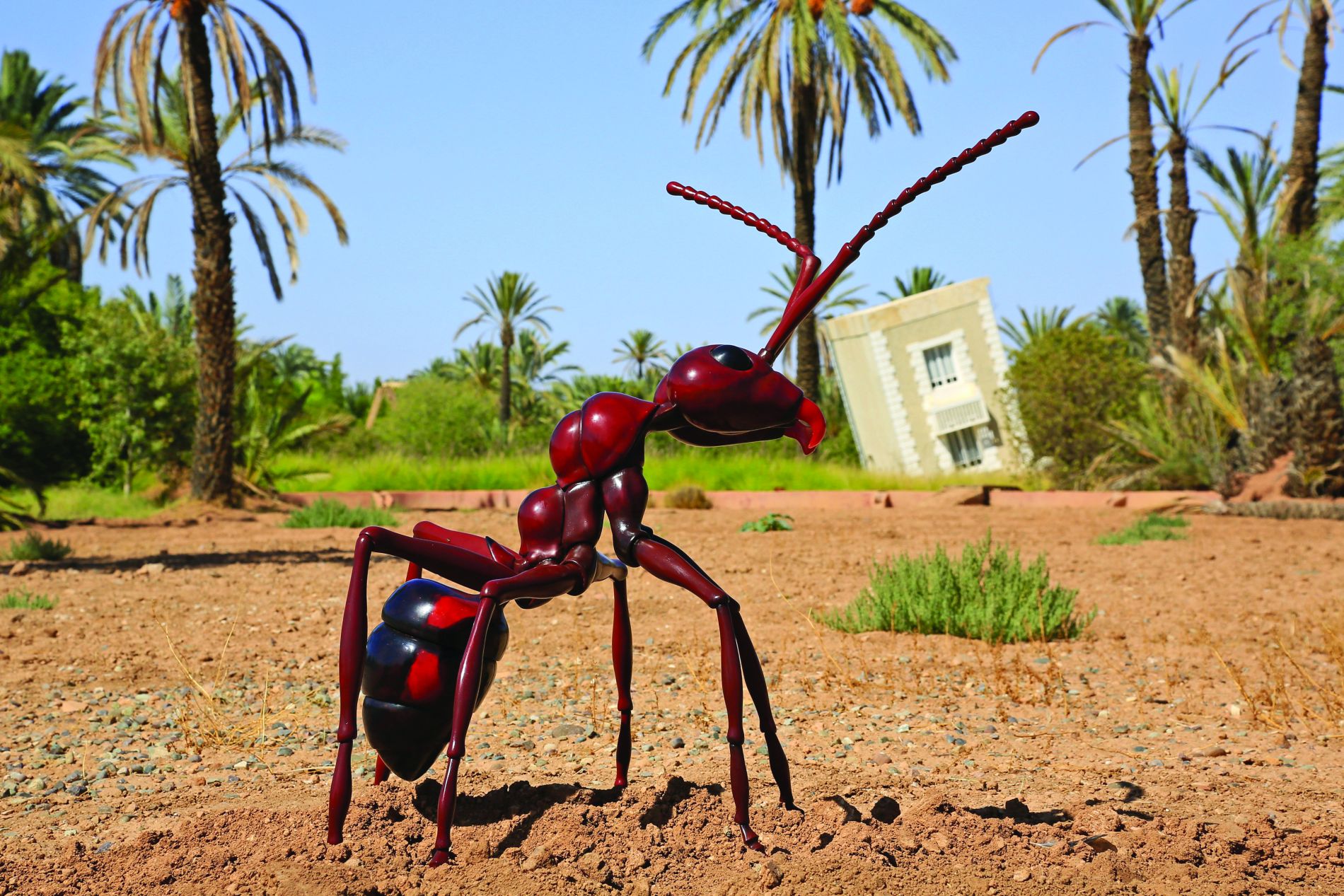 Courtesy of Jean François Fourtou
