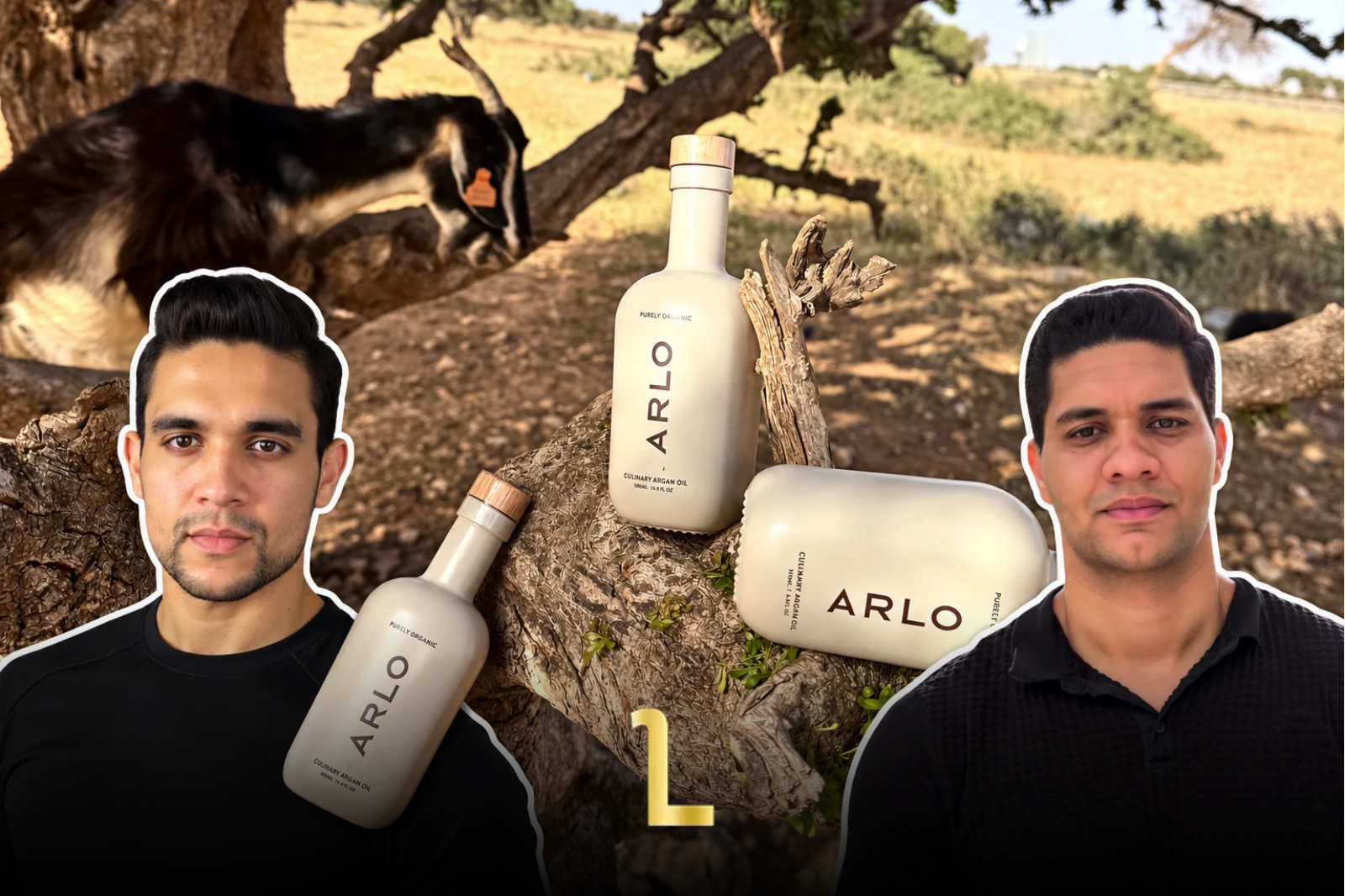 ARLO is Bringing Culinary Agran Oil Culture to the US. MWN Design Team / Credit @enjoyarlo